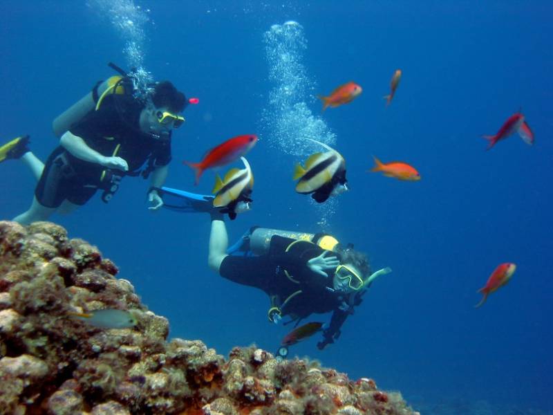 plonger parmi les poissons aux Maldives avec une agence de voyage à La Teste de Buch