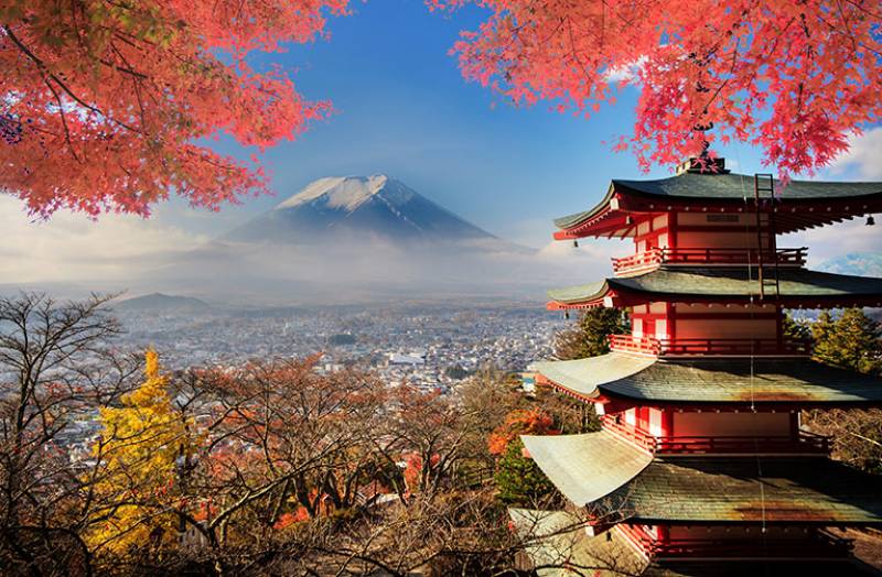 Quels sont les meilleurs itinéraires de randonnée ou sites naturels au Japon ?